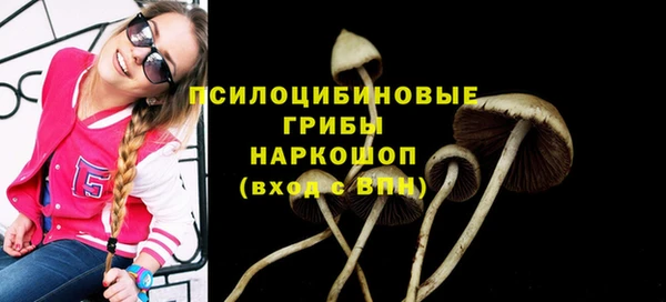 2c-b Новодвинск