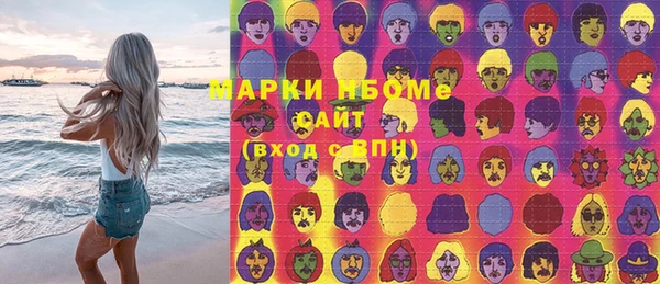 стаф Новокубанск