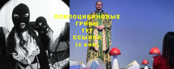 2c-b Новодвинск