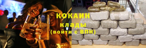 стаф Новокубанск