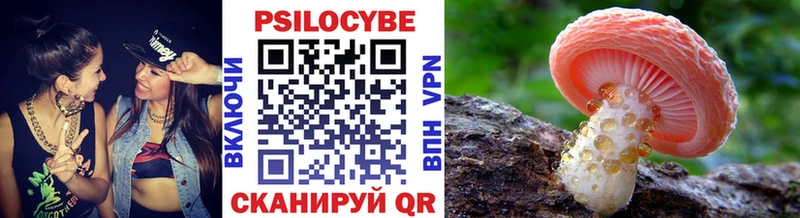 наркота  Усинск  Псилоцибиновые грибы мухоморы 
