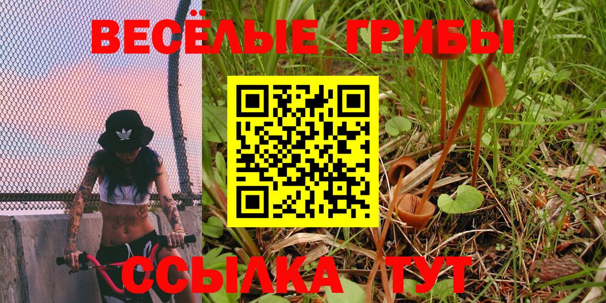 Псилоцибиновые грибы ЛСД Усинск