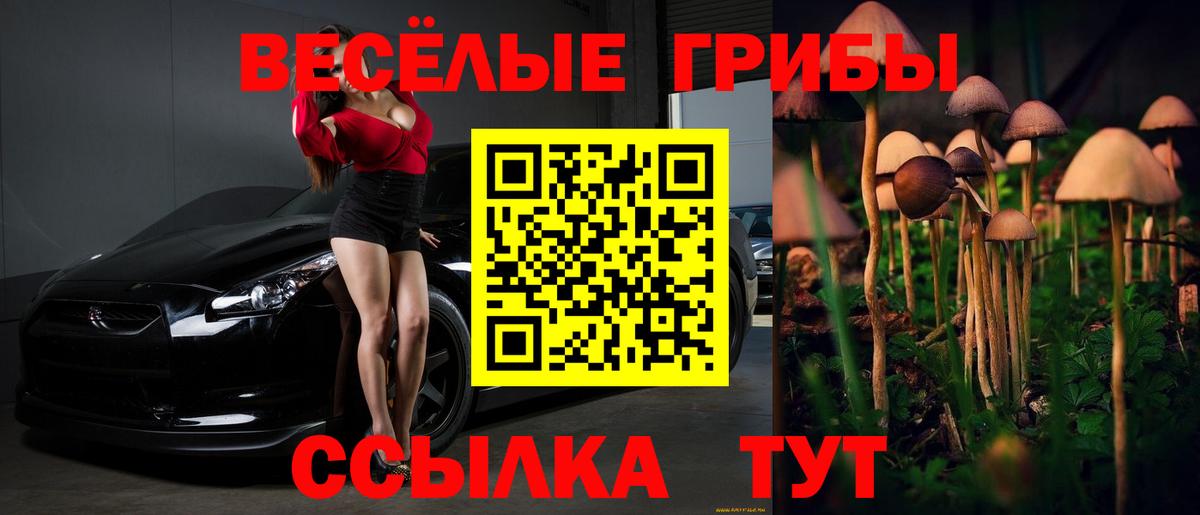 Псилоцибиновые грибы мухоморы  Вход с VPN  Усинск 